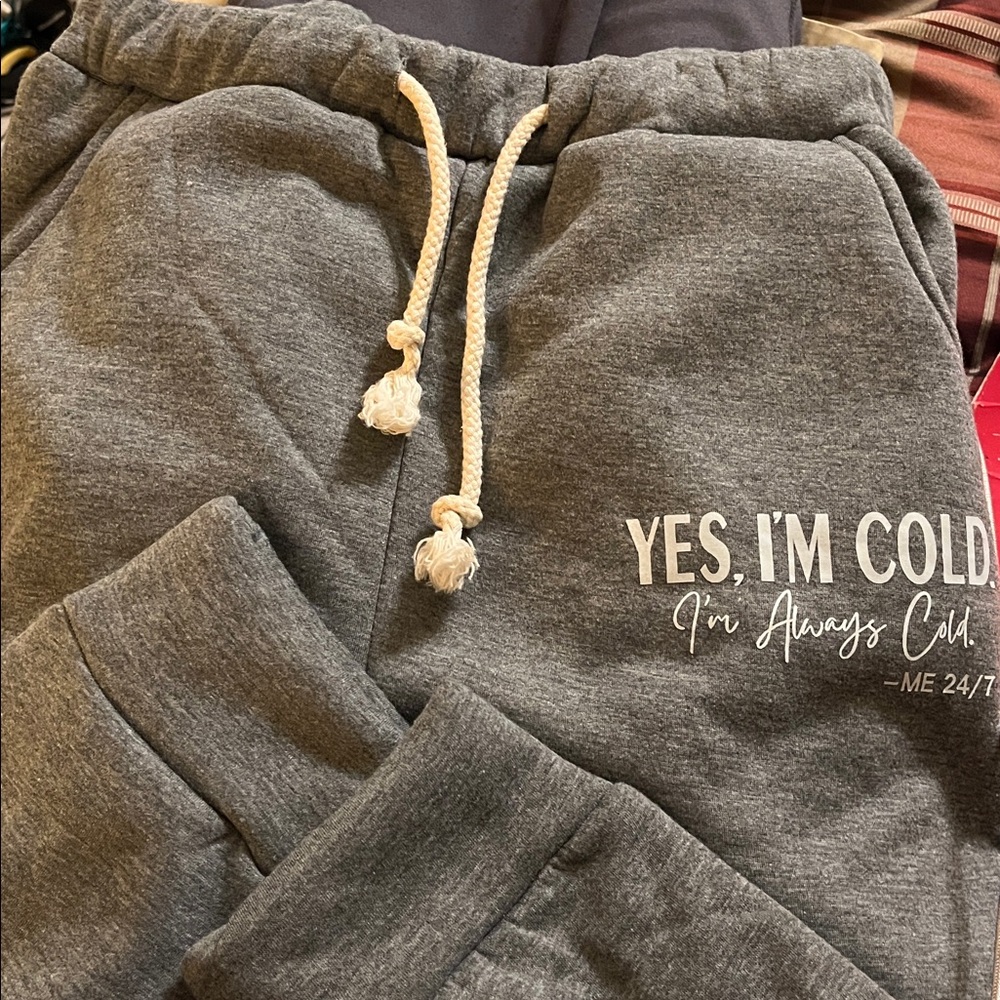 I’m Always Cold Me 24/7 sherpa fleece lined M gray joggers sweatpants 2 pockets